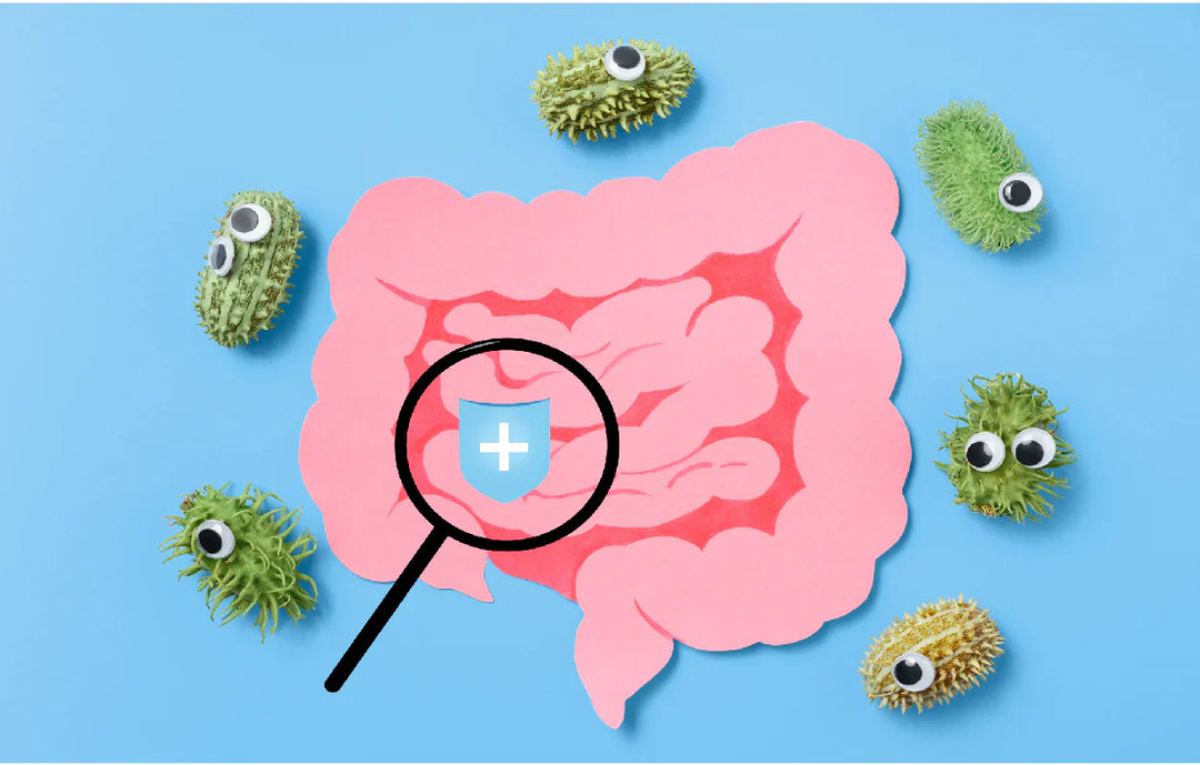 Unlocking the Secrets of the Microbiome: A Path to Health and Resilience
