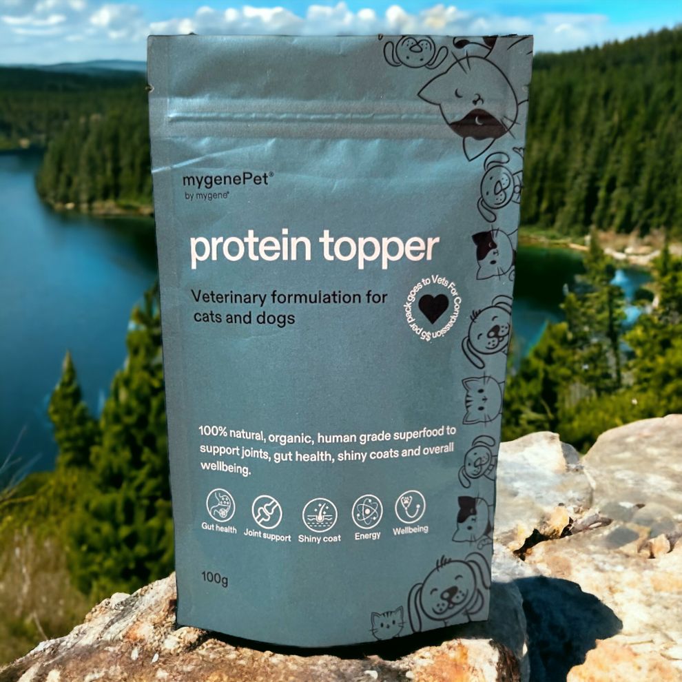Protein Topper Mygene