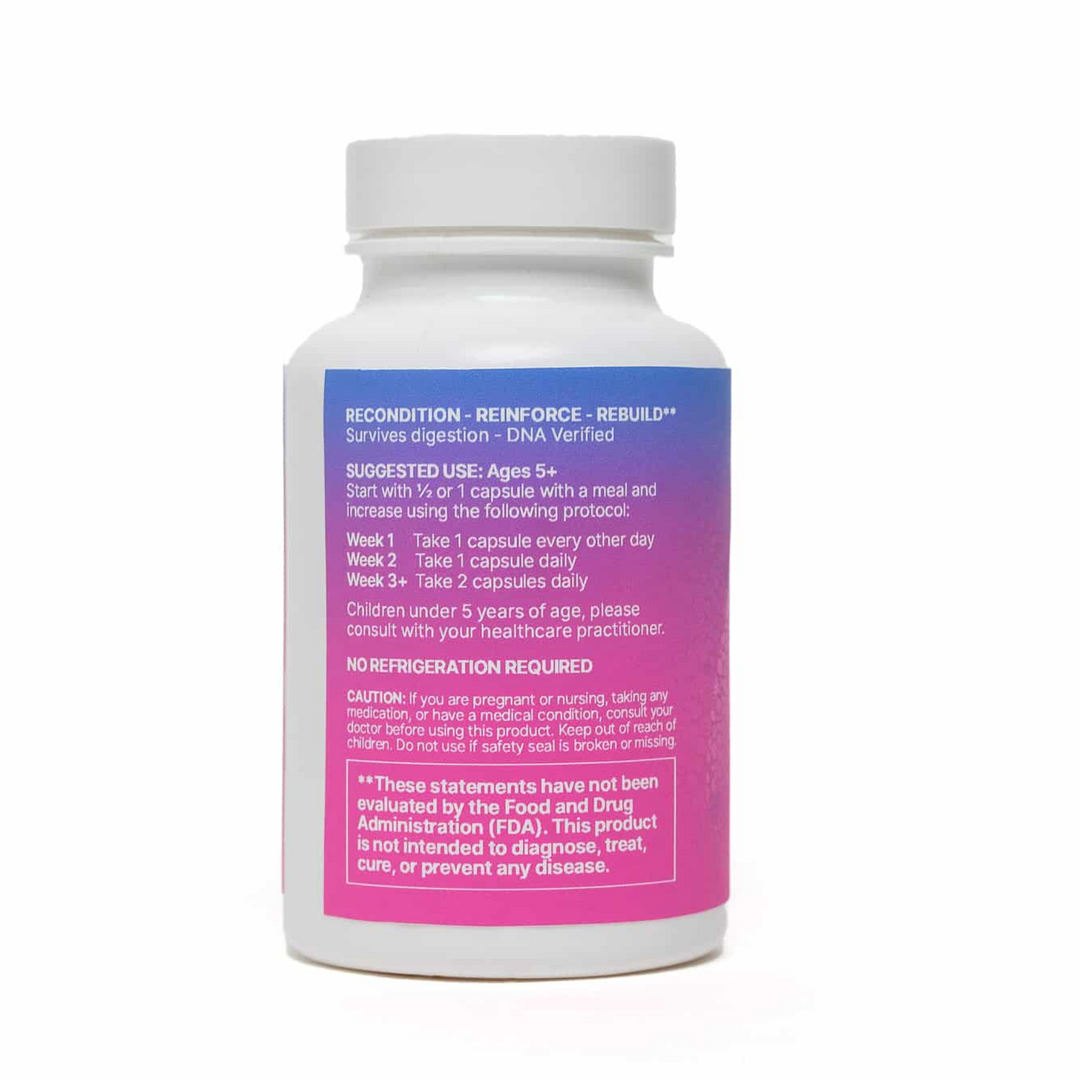MegaSporeBiotic  - Probiotic Supplement